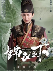 錦衣之下之團(tuán)寵