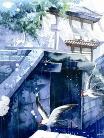 江南十二笺