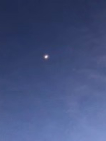 綜影視男神哪里逃