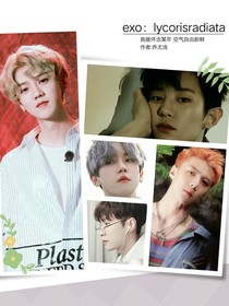 exo：lycorisradiata-d004
