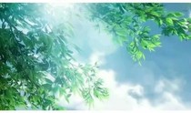 你是我一生都在追随的光明