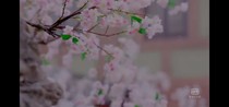 云晨校园恋