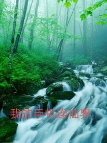 我的手机连仙界