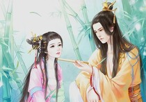 各种精美美图