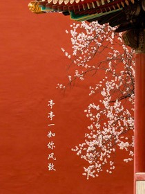 琪欣協(xié)力