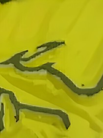 我绿了我自己