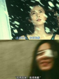 悲与欢，活与死
