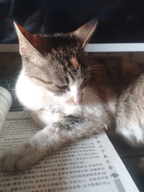 星辰中的一抹婪