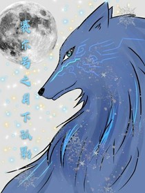 賽爾號之月下孤影