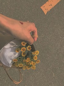 时光里的一条鱼