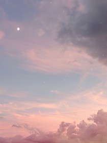 桃花不必開