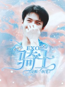 EXO之骑士