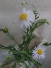 易烊千玺：茶凉以后