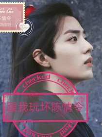玩坏陈情令