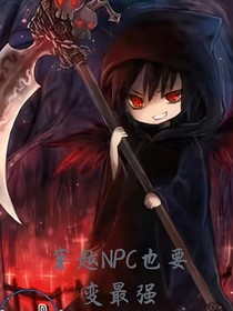 穿越NPC也要变最强