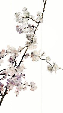 夢回長安