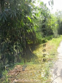 穿越我只是書中女配