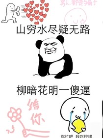这是苏苏文啊