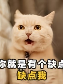 NPC：小青梅强撩计划——d217
