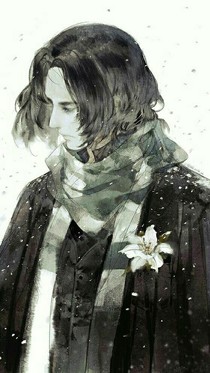 斯內(nèi)普的一生