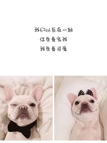 兔兒仙