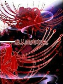 血之樱——d127