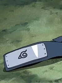 忍者的时代