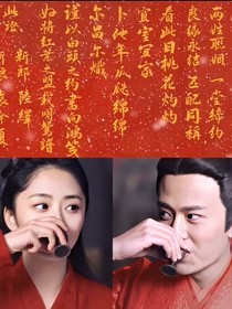錦衣之下：公主殿下