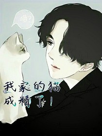我家的猫成精了