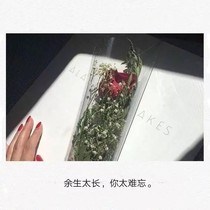 搖啊笑啊橋冠你星辰