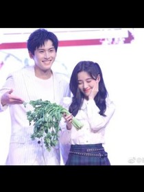 总裁的霸道女友1
