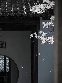 伞骨