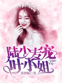 陆少专宠叶小姐