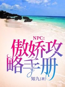 NPC：傲娇攻略手册