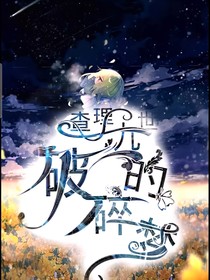 查理九世之破碎的梦