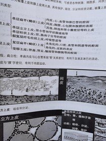 放射医学技术知识点