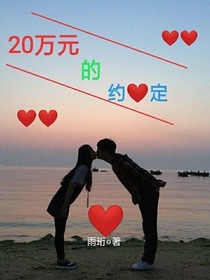 20萬(wàn)元的約定
