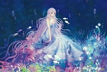 网王之帝殇雪夜