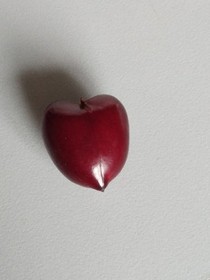 沒有名字的親情
