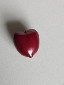 变冷的亲情