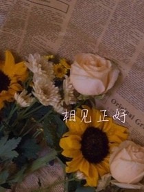 相見(jiàn)正好