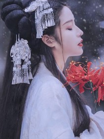 思君君不见