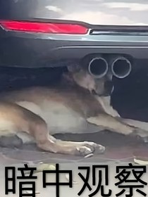 和系统相爱相杀的那些日子