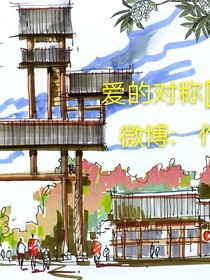 爱的对称