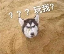 不睡觉觉
