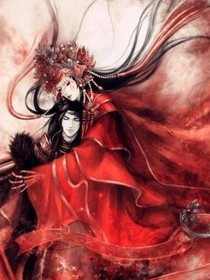 穿越之绝色杀手王妃