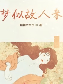 梦似故人来