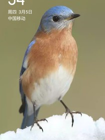 身边的坏闺蜜