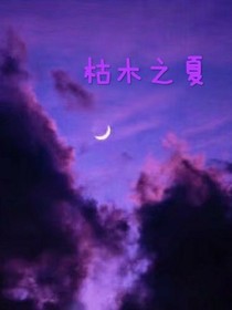 枯木之夏