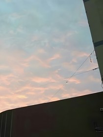 今天的风是香橙味的